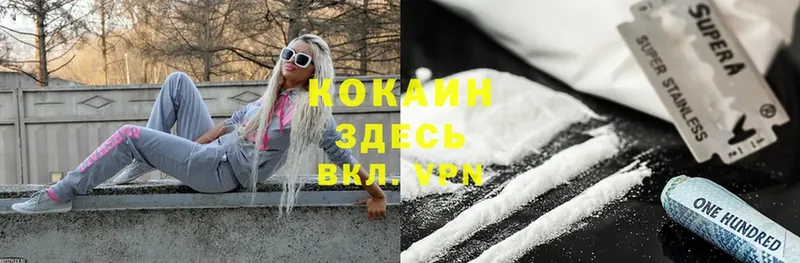 где купить наркоту  Вельск  маркетплейс состав  Cocaine Fish Scale 